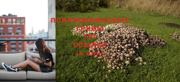 дурь Бугульма