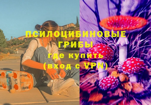 mdma Богданович